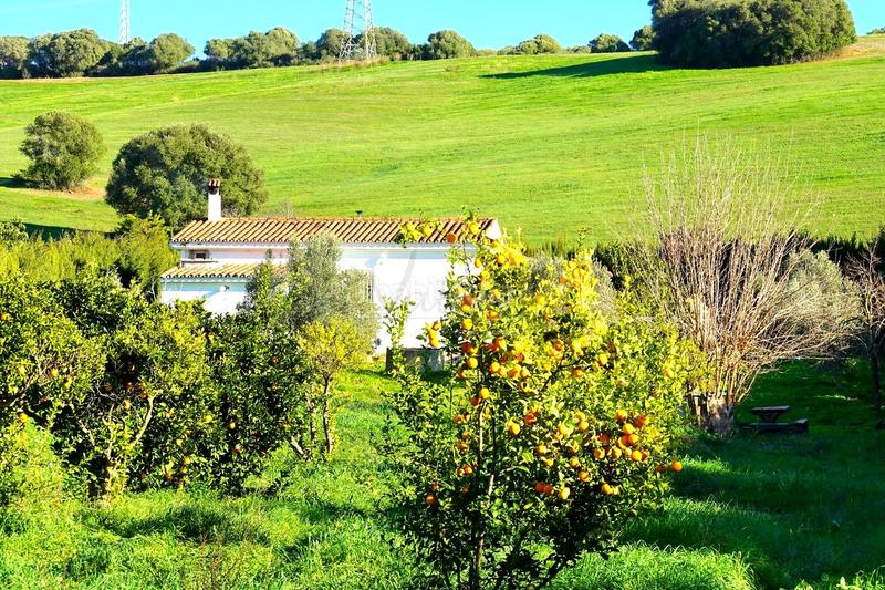 Foto e1065f1e-0ca9-4b0a-bedb-ddc5600c8a08. Propriété dans San Roque pueblo San Roque