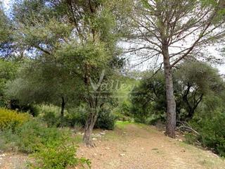 Proprit  None. Venta finca en gaucn