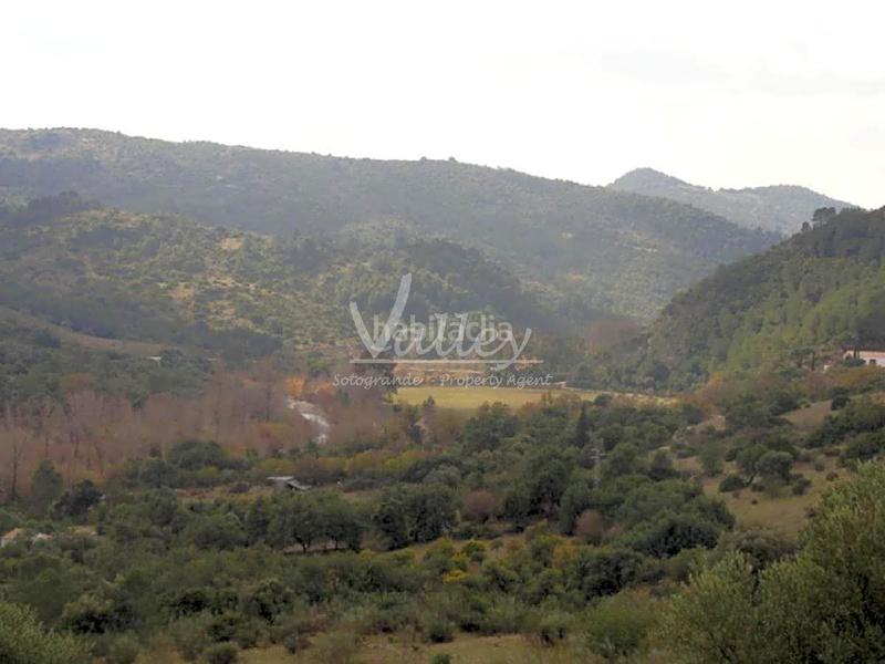 Foto 09732fed-f9eb-4431-91da-dd3a8afc72d0. Finca rústica a Genalguacil