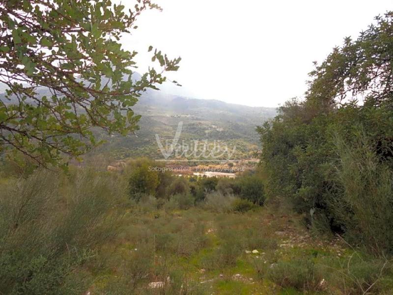 Foto 124ff5ab-8668-49c2-8d64-e88a3531e490. Finca rústica a Genalguacil
