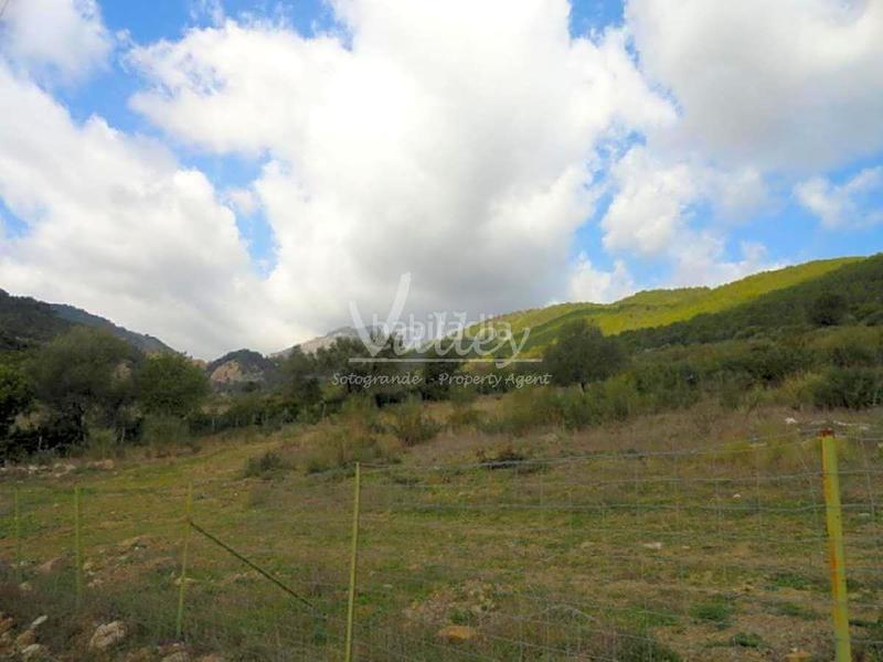 Foto 5f1fd075-cfc4-4d78-ab57-bec3946e8763. Finca rústica a Genalguacil