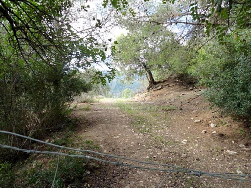 Foto 8d5689d9-1900-4375-a8d8-73c497c9d6d2. Finca rústica a Genalguacil