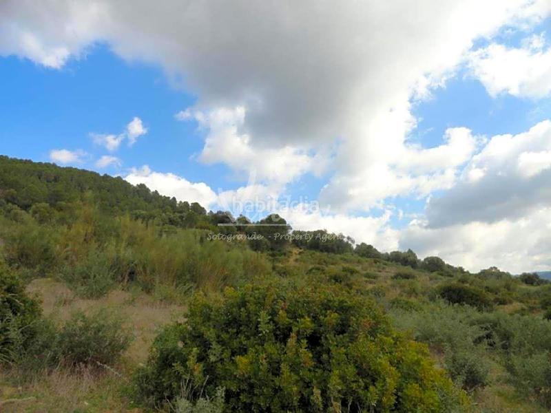 Foto a8b726ca-f58c-4605-9528-d746e68e0c40. Finca rústica a Genalguacil