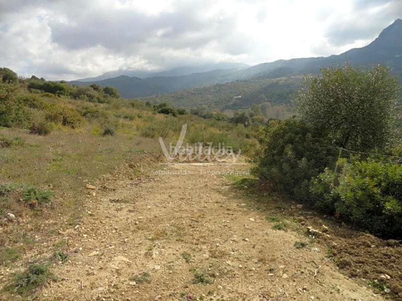 Foto b883847e-f1dc-4f63-9d92-01ab197bba17. Finca rústica a Genalguacil