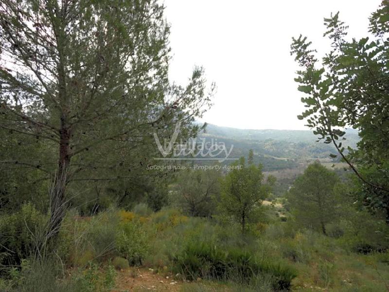 Foto d0945976-fc33-4484-9f7b-400e2f10f69c. Finca rústica a Genalguacil