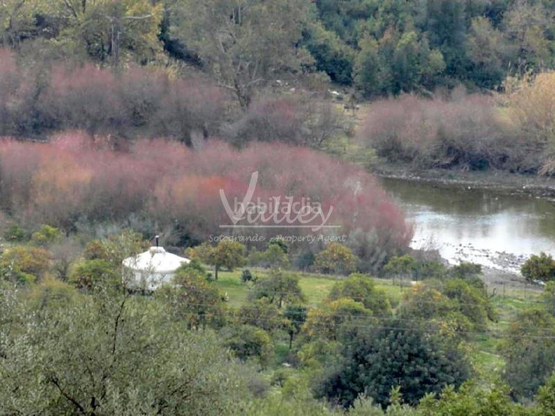 Foto d6dce518-917e-4d14-8b9c-6d7c1fa1aeba. Finca rústica a Genalguacil