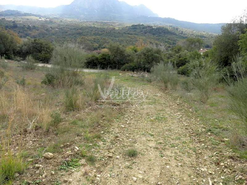 Foto ded4fc94-e3eb-4b42-9a0b-554cf6590244. Finca rústica a Genalguacil