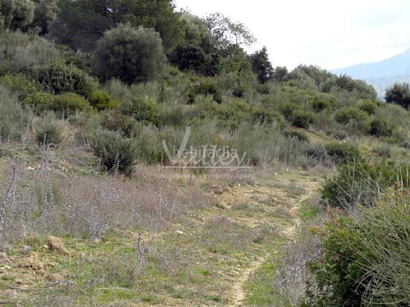 Foto eaf5e132-604d-4c71-9516-af8b75e4a626. Finca rústica a Genalguacil