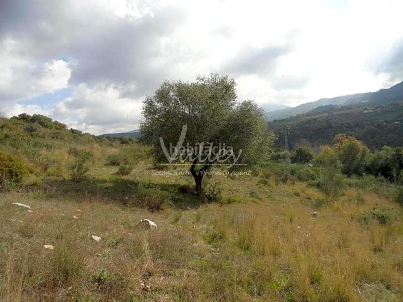 Foto ec84407c-4508-470a-904e-019b69c210b1. Finca rústica a Genalguacil