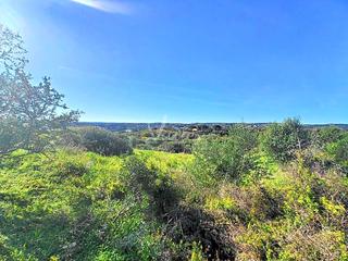 Terrain rsidentiel  Lavanda en la reserva de sotogrande. Venta de parcela en calle lavanda en la reserva de sotogrande