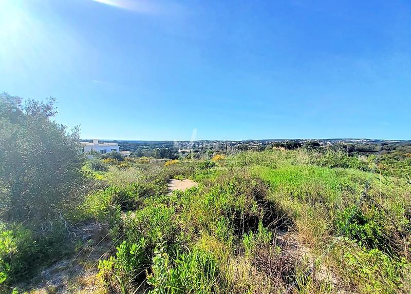Foto 259cea0f-d64f-4d40-99b2-0d8ae88f7c55. Terrain résidentiel dans Sotogrande alto Sotogrande