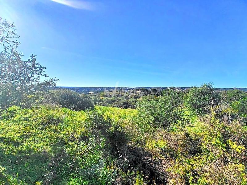 Foto d0c9c94b-d54e-4531-94fc-68b7f29b981c. Terrain résidentiel dans Sotogrande alto Sotogrande