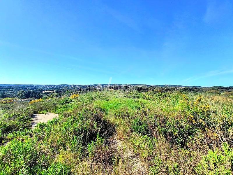 Foto dd2ea344-d4c1-46f4-a5fb-a201f533e124. Terrain résidentiel dans Sotogrande alto Sotogrande