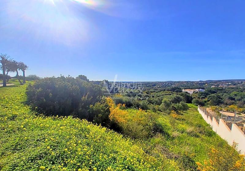 Foto 2831955b-01c1-4af3-9095-9db30c548b14. Terrain résidentiel dans Sotogrande alto Sotogrande