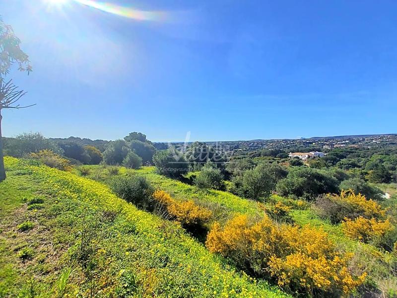 Foto 8166eaaa-773a-4dd2-bfee-6b717d93298d. Terrain résidentiel dans Sotogrande alto Sotogrande