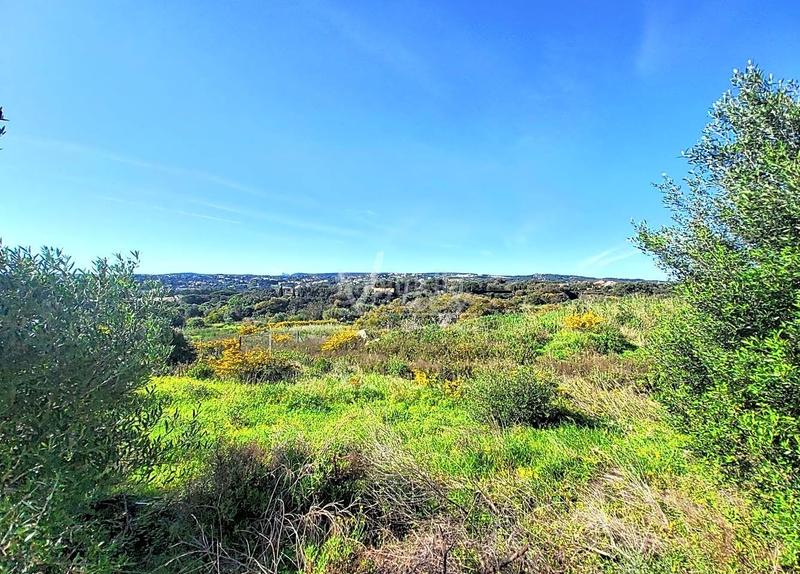 Foto a9584623-ddd0-4131-bc01-e7e5a5d2d32f. Terrain résidentiel dans Sotogrande alto Sotogrande