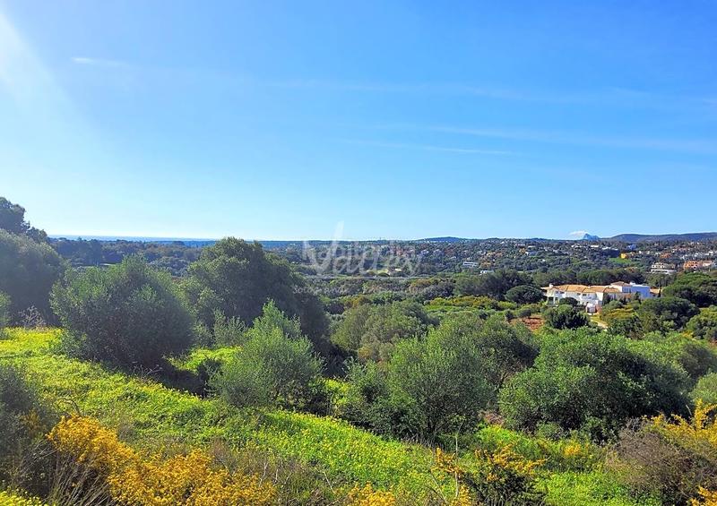 Foto dc58f1c7-5091-4a21-b03c-517409fd9c9f. Terrain résidentiel dans Sotogrande alto Sotogrande