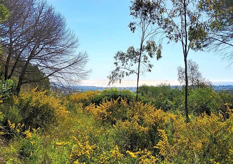 Foto 0b56ba97-66ec-4461-a3fe-27b7a3fca40d. Terrain résidentiel dans Sotogrande alto Sotogrande