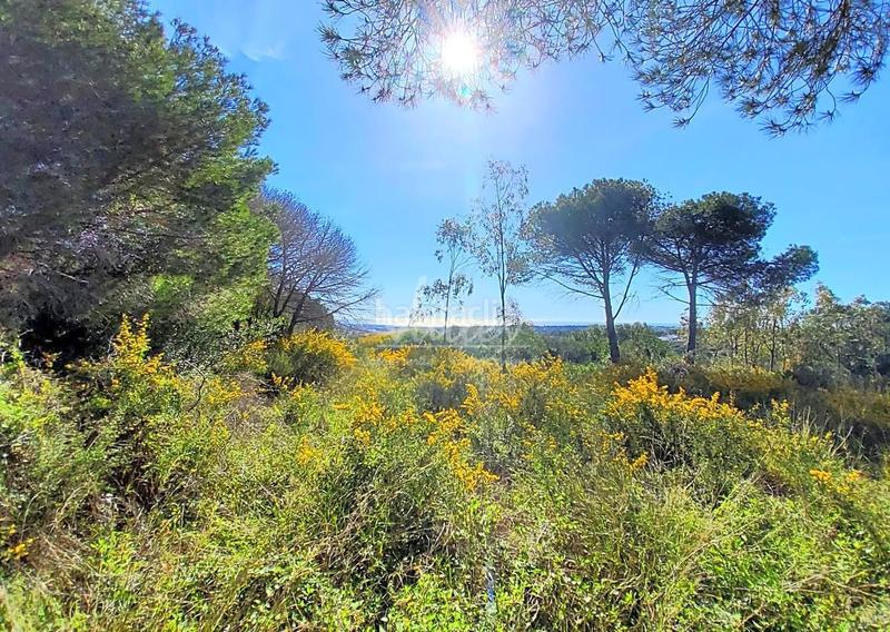 Foto 888e213e-e18a-4edd-8fee-29177380d38a. Terrain résidentiel dans Sotogrande alto Sotogrande