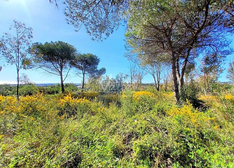 Foto bf126905-aa6a-4809-9a3f-282914606d94. Terrain résidentiel dans Sotogrande alto Sotogrande