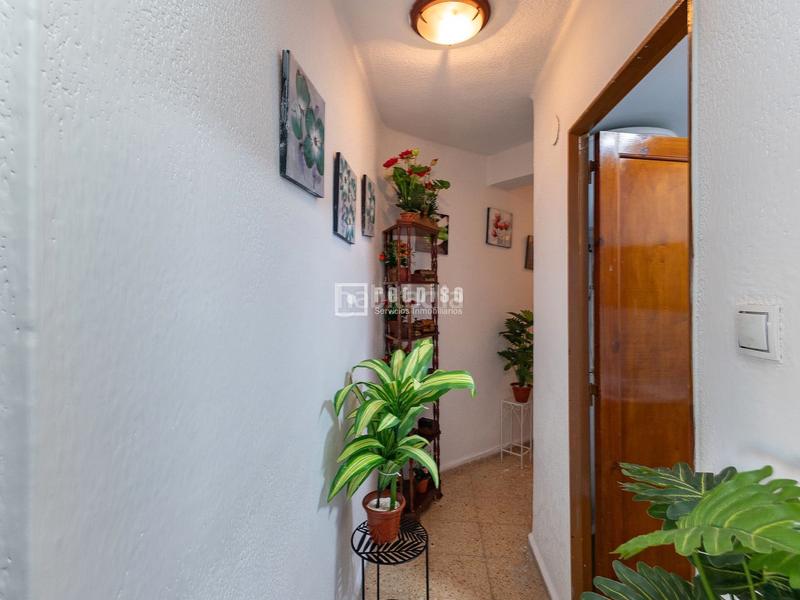 Foto 02d57be6-eb9f-46be-b8fa-1a5a109d8f06. Etagenwohnung in L´Illa Perduda Valencia