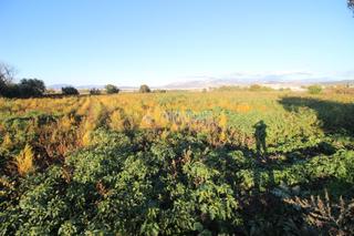Rural plot in San Cayetano