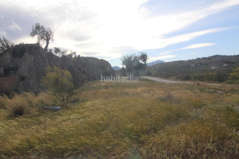 Foto 00e1976c-dc5e-4647-b922-eaa532f3f9d5. Finca rústica a Álora