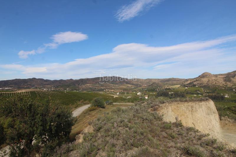 Foto 25a0e89c-b0bb-4256-8dfc-72493ed9d2bd. Finca rústica a Álora