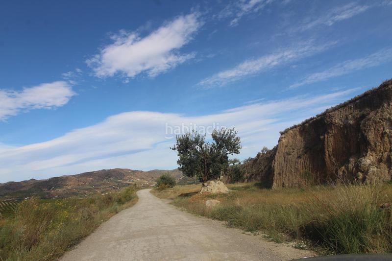 Foto 74475450-3500-43b7-ab0f-90501c510a32. Finca rústica a Álora