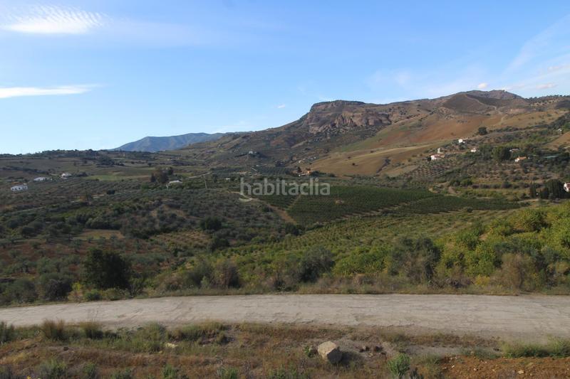 Foto 7c927b8d-06ec-44e4-a65b-629f17fb90e4. Finca rústica a Álora