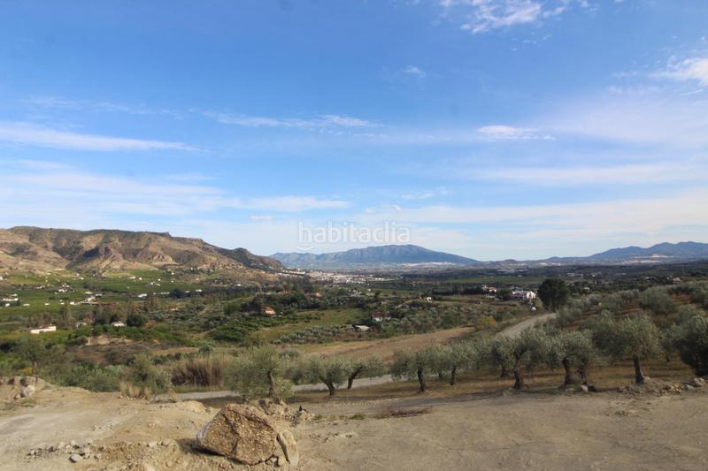 Foto d35d4cc4-6c3c-4538-aa0a-d86ee265373a. Finca rústica a Álora