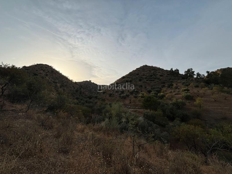 Foto 0191440e-eb8a-4a5d-bb40-7f9c07e544cc. Landgut in diseminado poligono 2 367 in Cártama