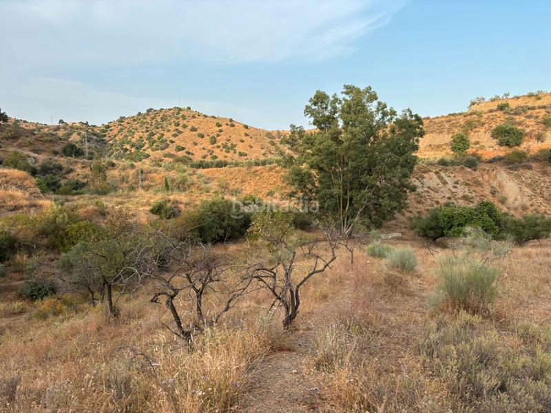 Foto 05aefb1d-b48e-4df7-bd66-cfef9b2a7dce. Landgut in diseminado poligono 2 367 in Cártama