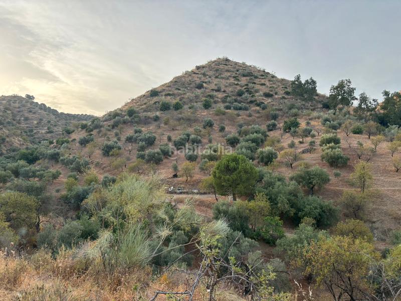 Foto 0b5beddb-b55b-43c8-9e8d-5c6514da9980. Landgut in diseminado poligono 2 367 in Cártama