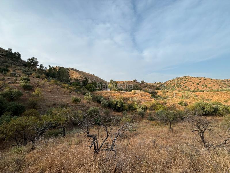 Foto 0c22aca8-904b-47cb-8c12-cc8eab88a426. Landgut in diseminado poligono 2 367 in Cártama