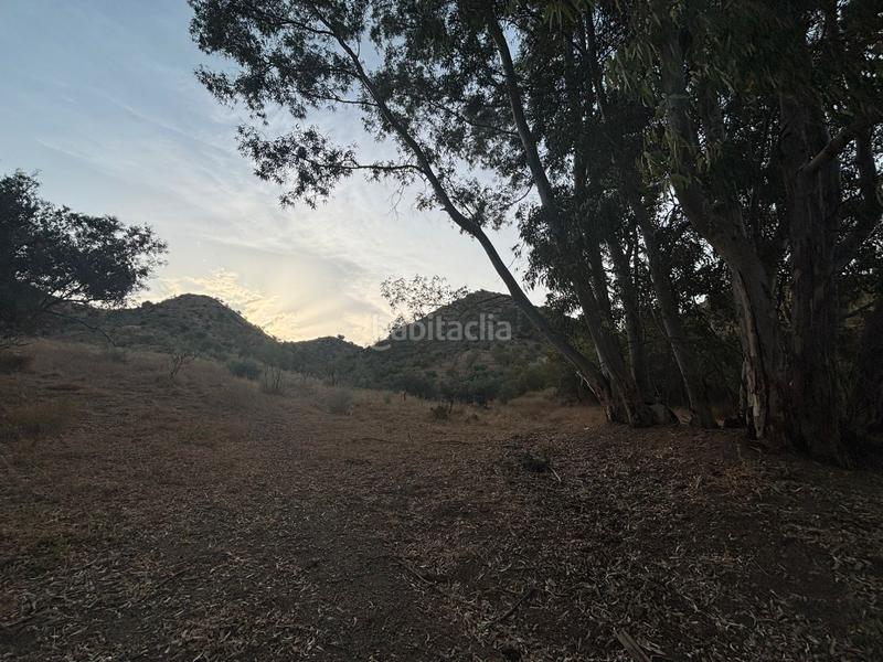 Foto 7e3e6f0d-0e4f-4cf1-b28c-8b8396bdd0be. Landgut in diseminado poligono 2 367 in Cártama