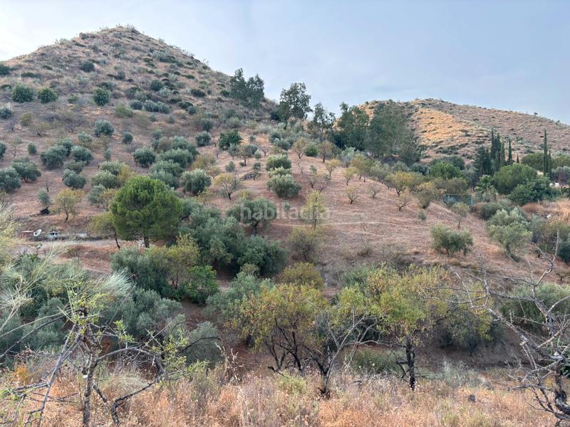 Foto 9ff70ec5-1dc7-490c-82e3-4c91f65c47d6. Landgut in diseminado poligono 2 367 in Cártama