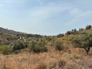 Finca rústica  Carretera benagalbón. Terreno con vistas de ensueño en rincón de la victoria
