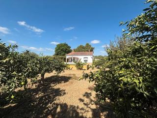 Mas  Camino de los javieles. Casa con terreno en alhaurín el grande