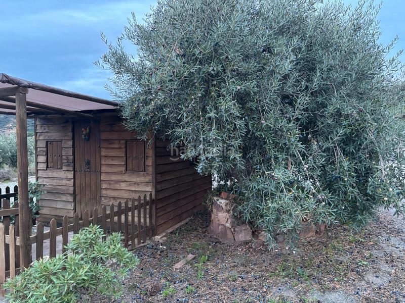 Foto 27b2094f-797e-4985-bca1-2d05a43560bf. Maison dans Campanillas Málaga