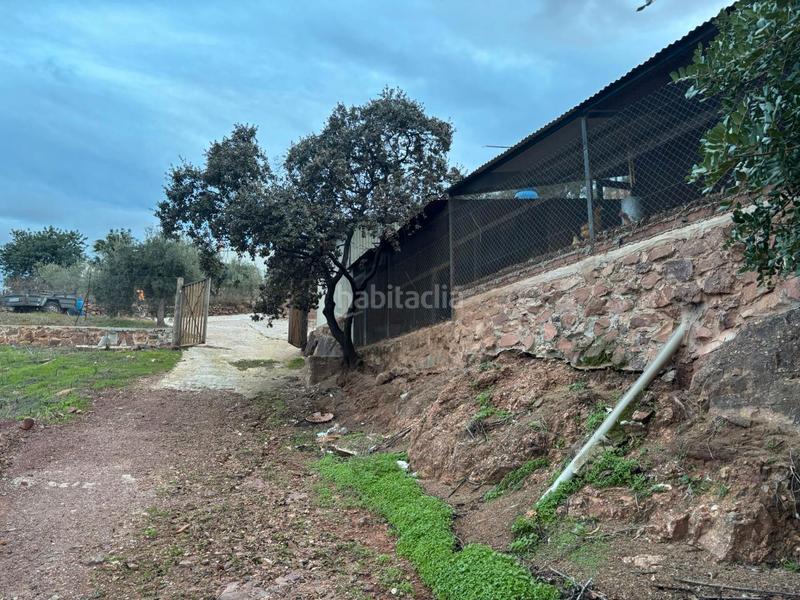 Foto 59664ca6-b633-4e17-ab94-47b1ee04c50c. Maison dans Campanillas Málaga