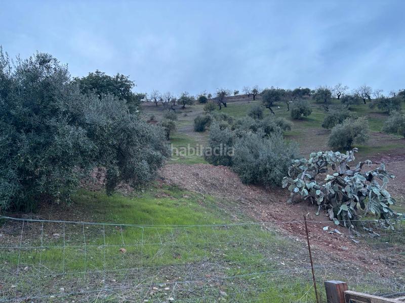 Foto 605c4a44-03bf-4e48-b4a0-3ce54682824d. Maison dans Campanillas Málaga