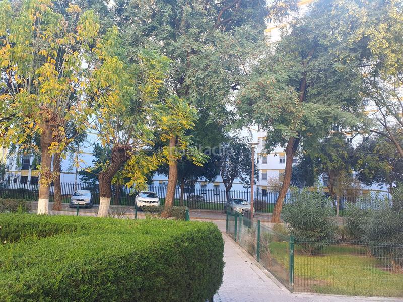 Foto 4dec7aef-339c-403c-a105-19520e9cb967. Appartamento in Parque Atlántico- San Matías Sevilla