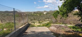 Rural plot in Barriada la mela 18