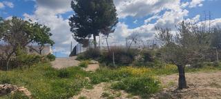 Rural plot in Barriada la mela 18