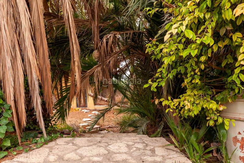 Foto 569ccbd3-24d3-4569-9198-a90f705fa18c. Chalet in camino de josé miñarro 11 in Cazalla Lorca