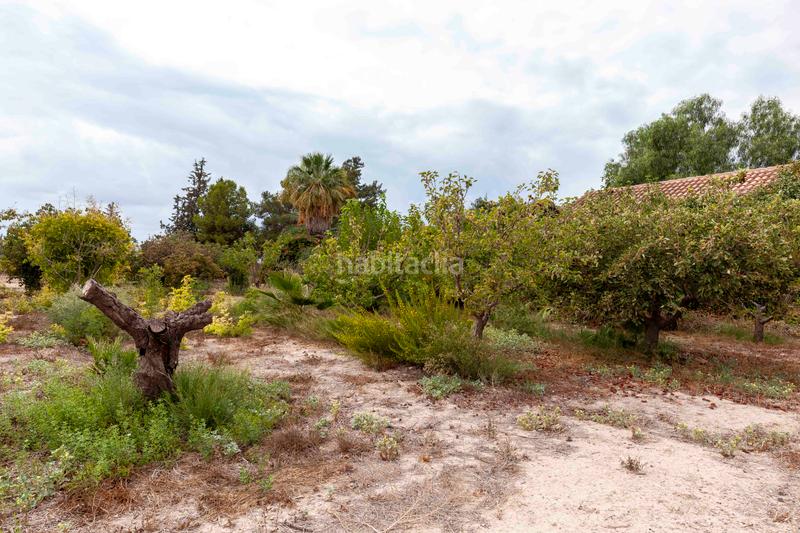 Foto 7602b3f6-8aca-4b7f-bebe-b7175abf6b9a. Chalet in camino de josé miñarro 11 in Cazalla Lorca