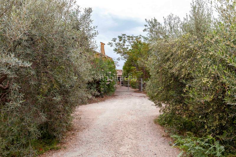 Foto a711e5ff-99d9-4475-8b96-9af476d2404b. Chalet in camino de josé miñarro 11 in Cazalla Lorca