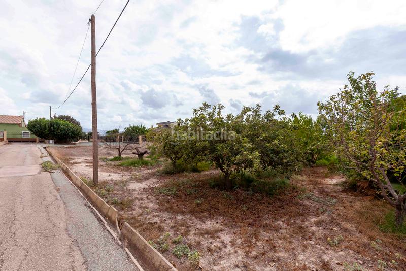 Foto be998b63-5a11-459b-94dc-f763657ee60c. Chalet in camino de josé miñarro 11 in Cazalla Lorca