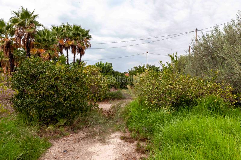 Foto cbdc27a1-6732-4e57-ab5f-c8aa0e454207. Chalet in camino de josé miñarro 11 in Cazalla Lorca